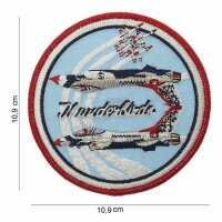 US Army Thunderbirds USAAF Patch Airforce Pilot Wings...