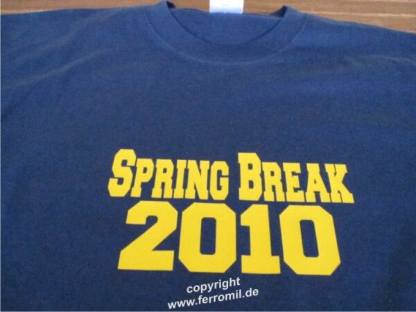 Spring Break Party 2011 Fun T-Shirt