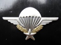 US Army Airborne Paratrooper Pin